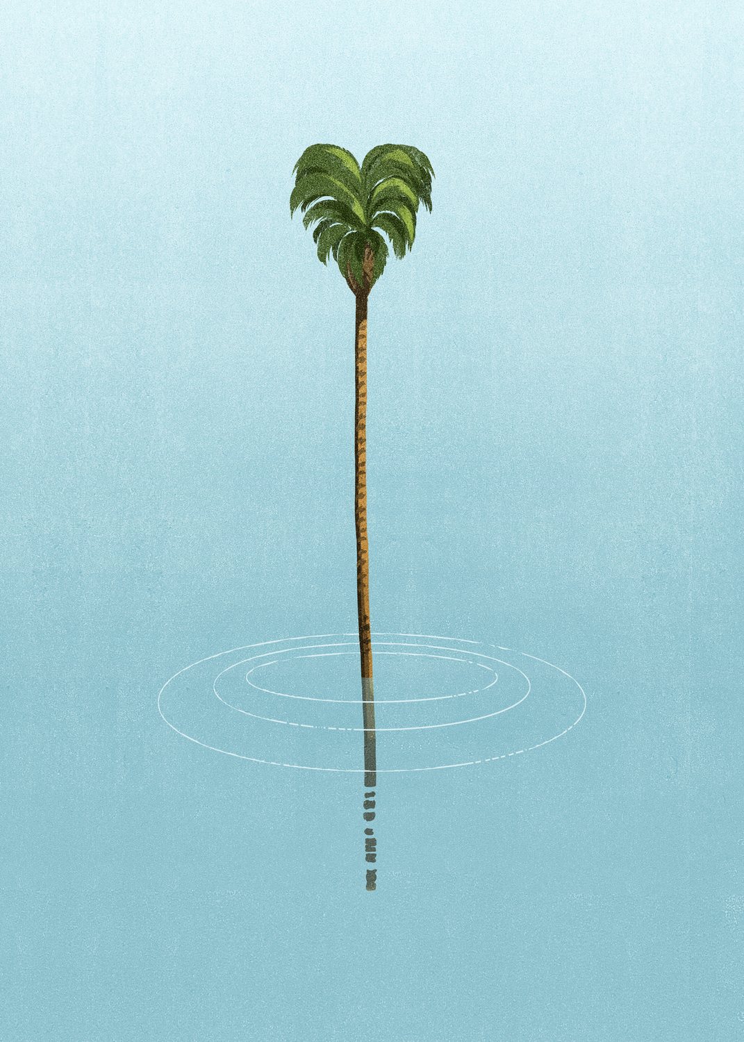 Lone Palm