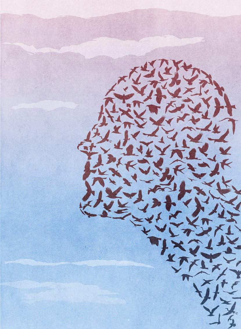 Profile Made of Birds