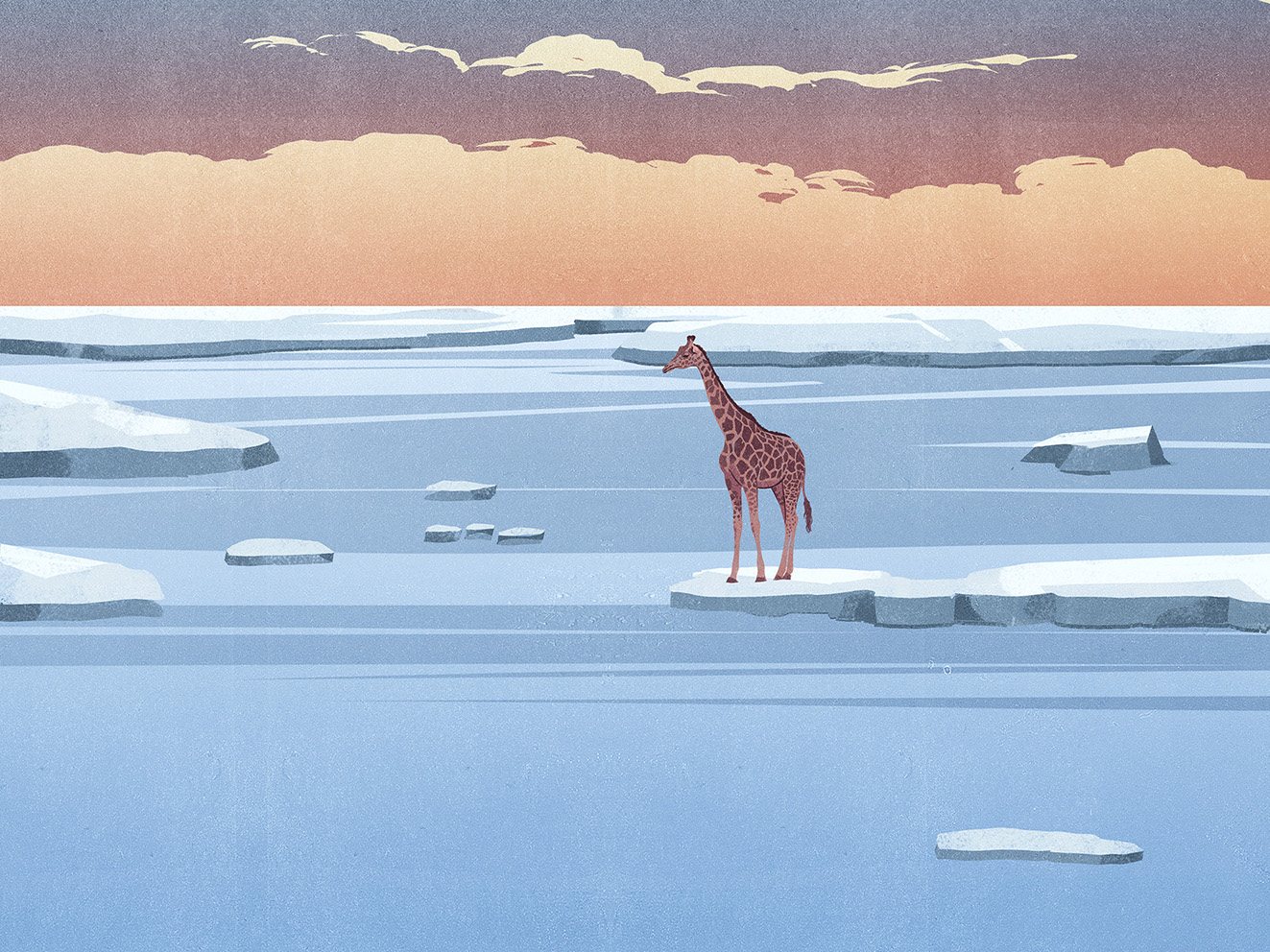Giraffe on the Ice