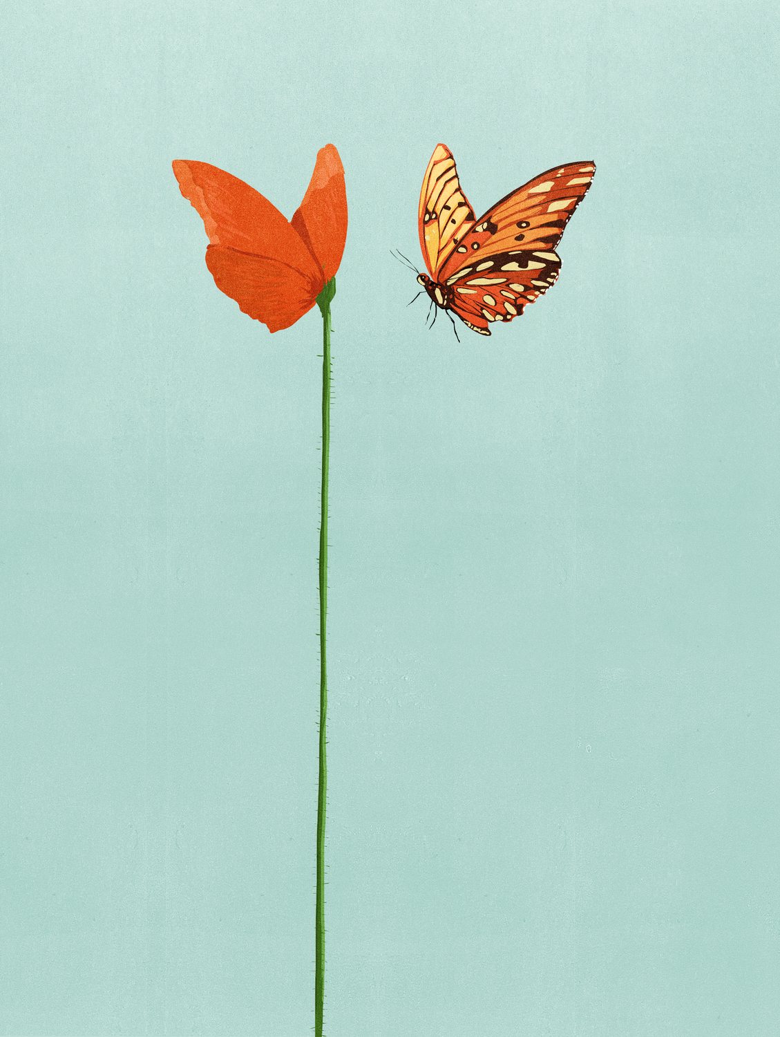 Butterfly Flower