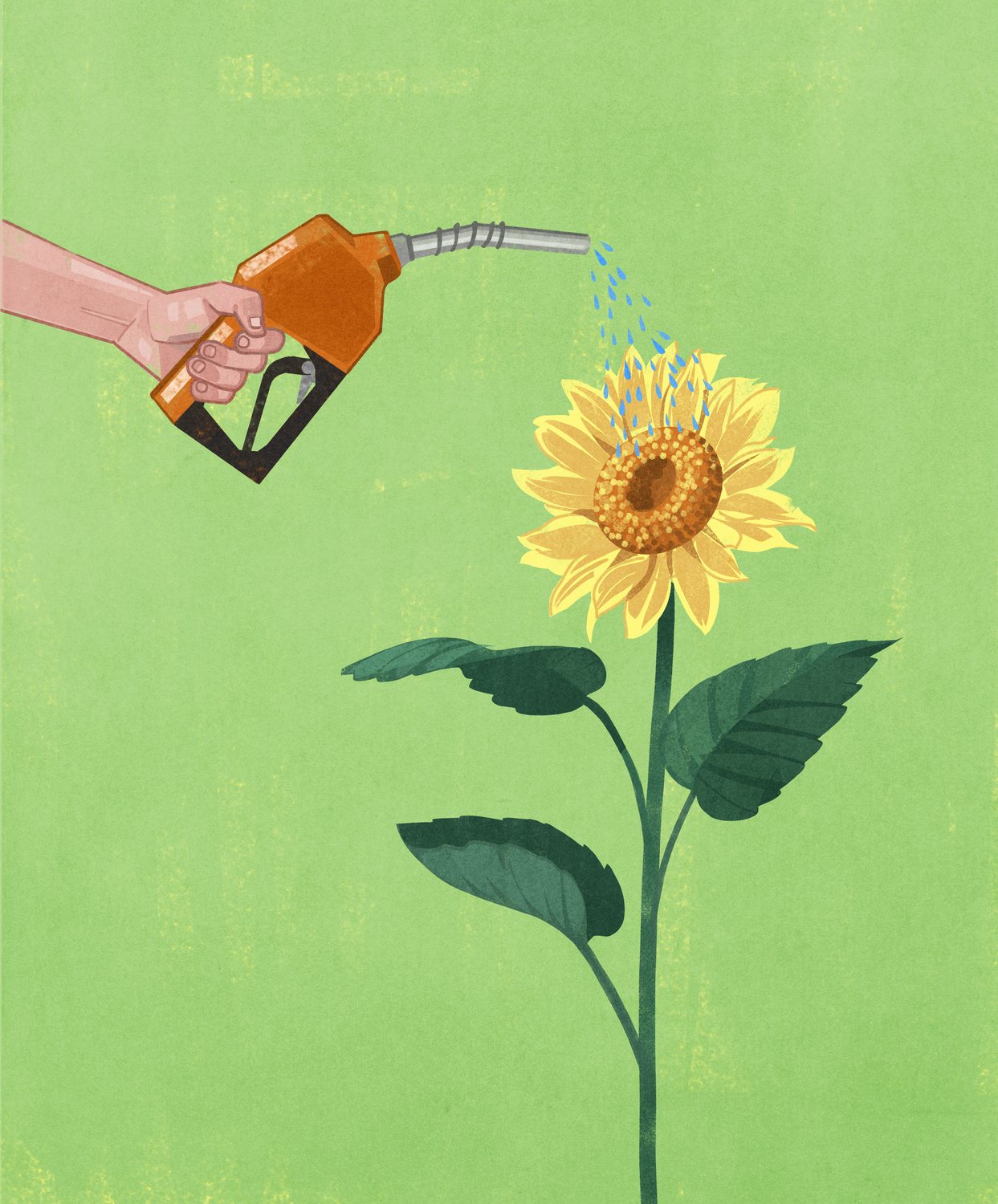 Fuel Flower