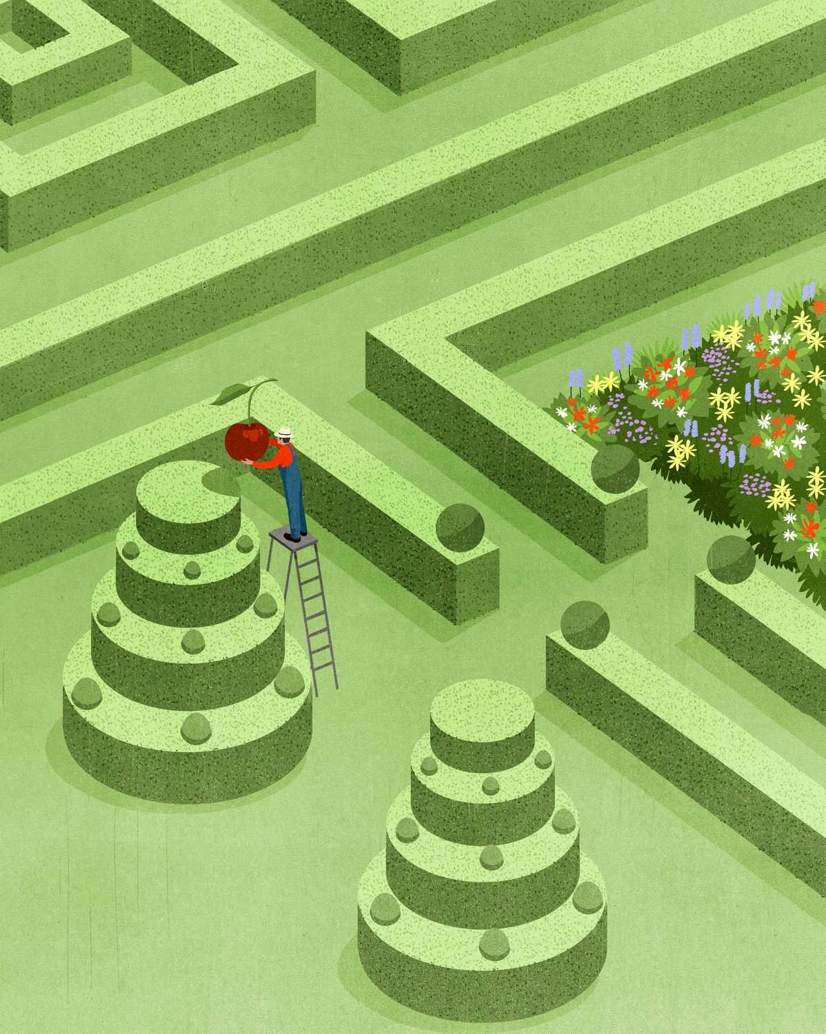 Hedge Maze