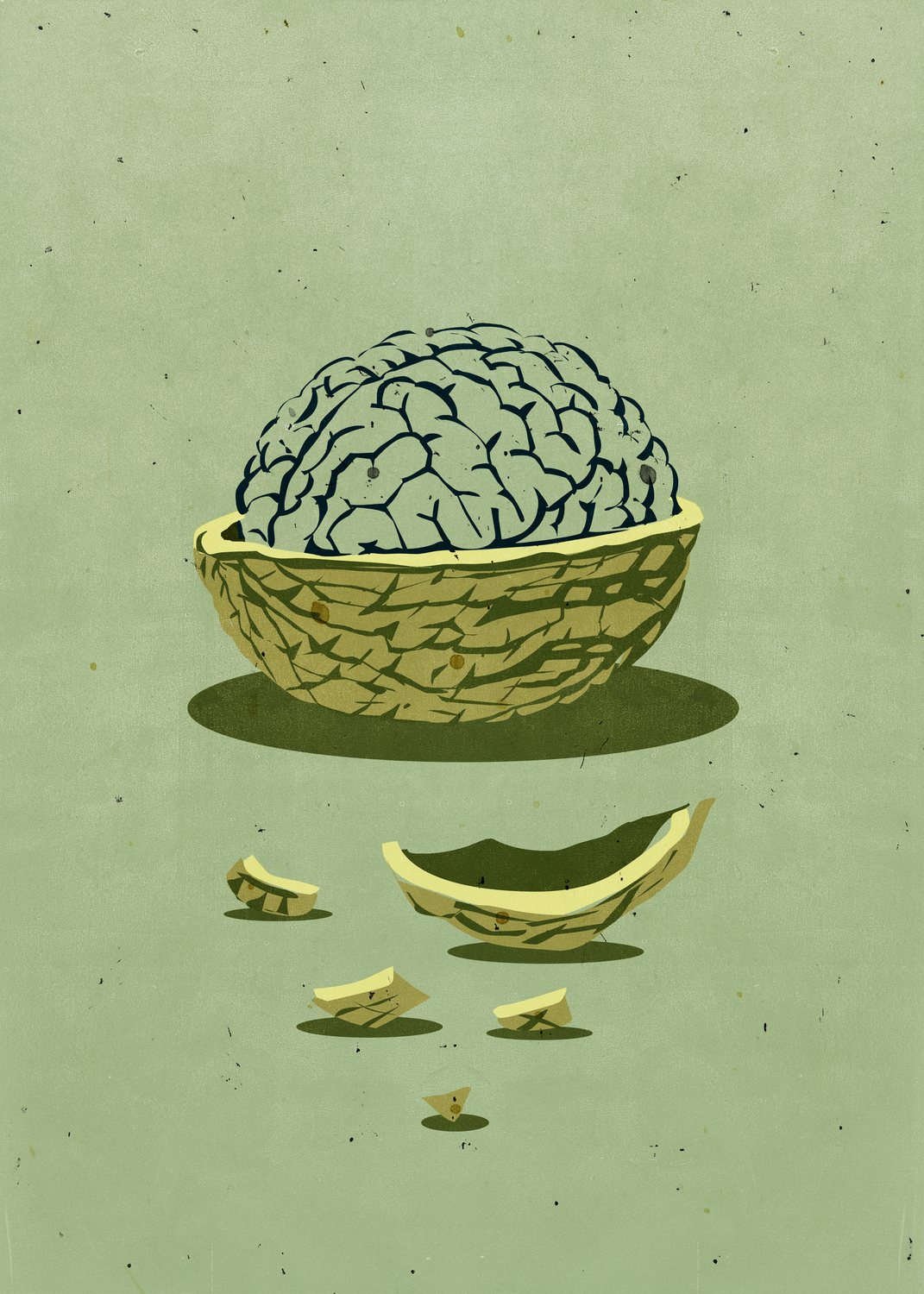 Walnut Brain