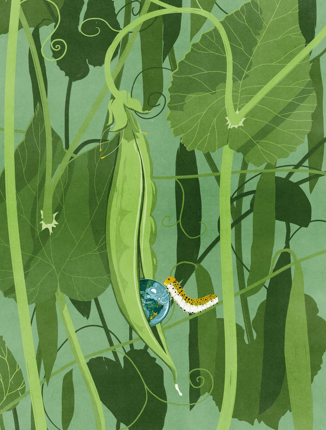 Pea Pod