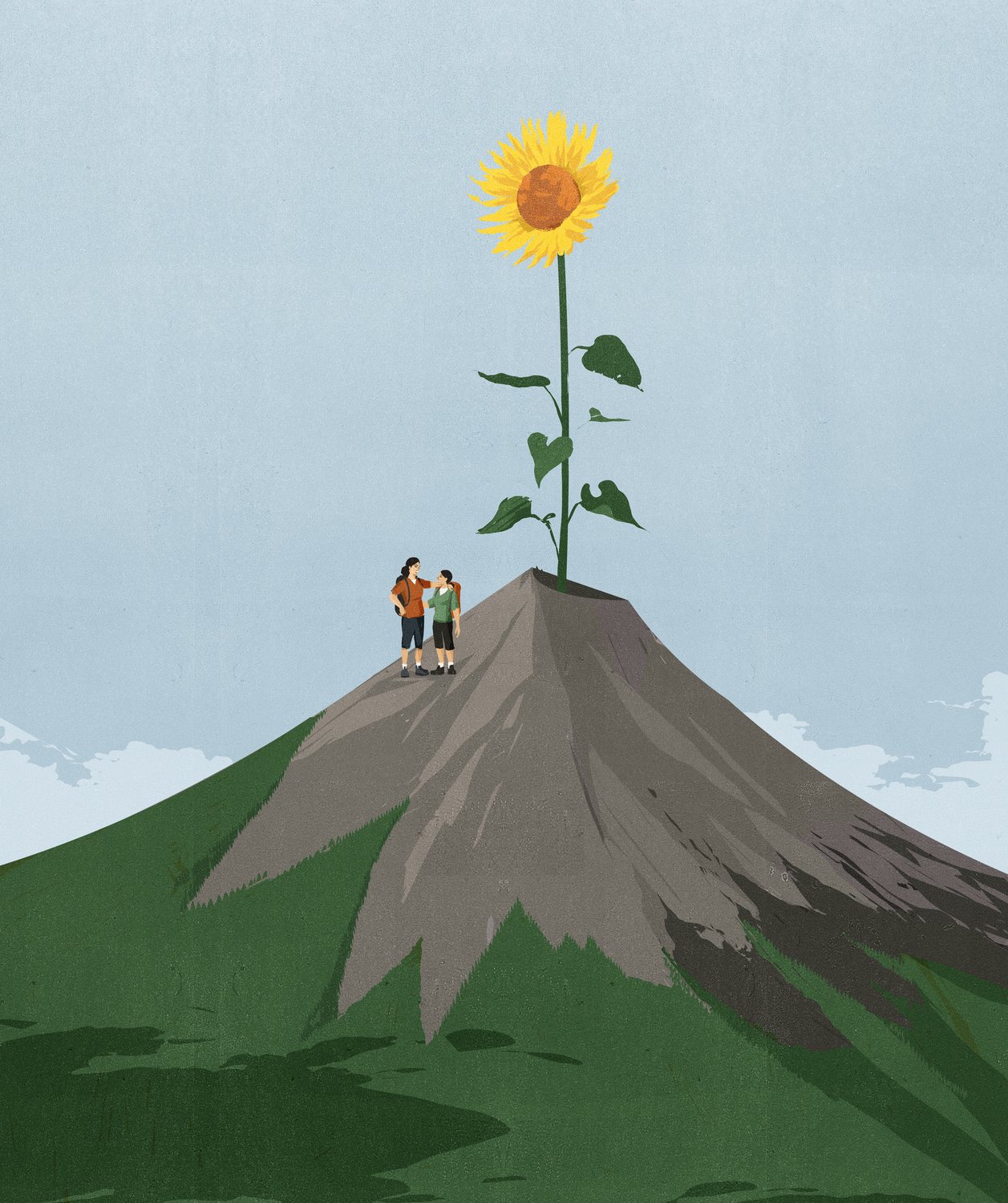 Volcano Sunflower