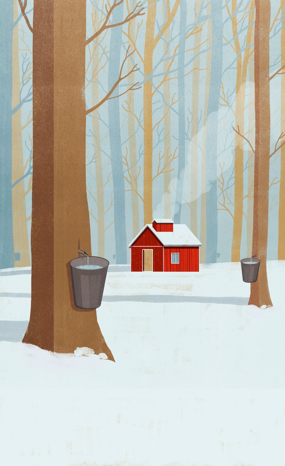 Maple Syrup Forest