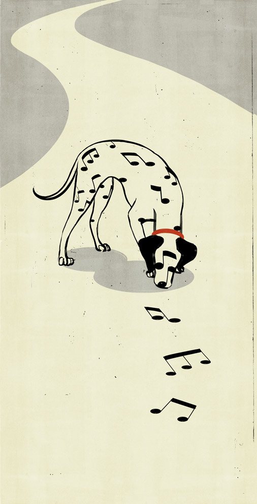 Dalmatian Notes