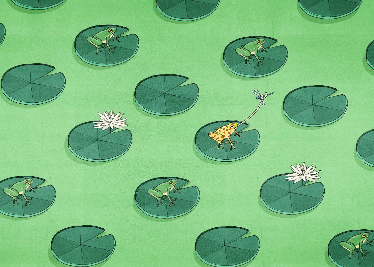 Frogs on the Lily Pads