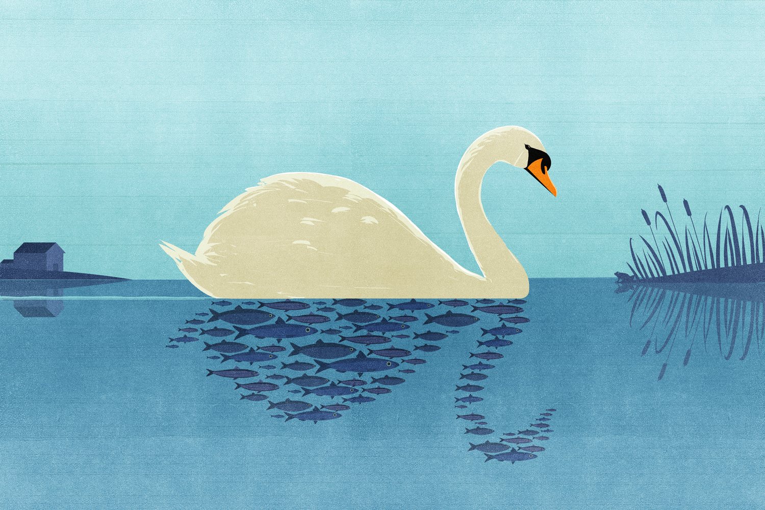 Swan of Fish