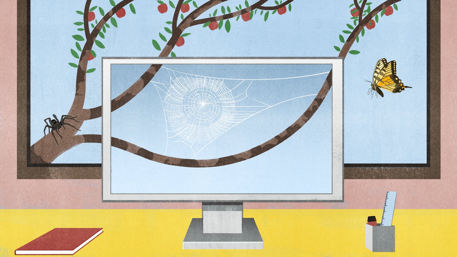 Spider Web on the Computer Screen