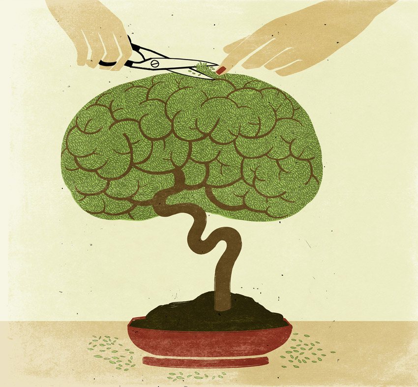 Pruning the Brain Bonsai