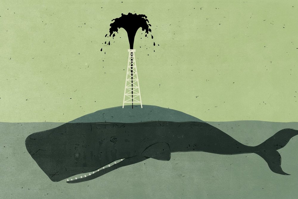 Whale with an Oil Well