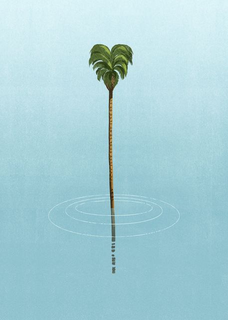 Lone Palm
