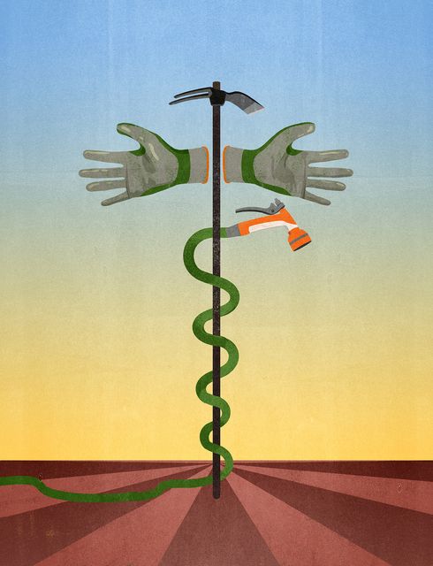 Caduceus Hands