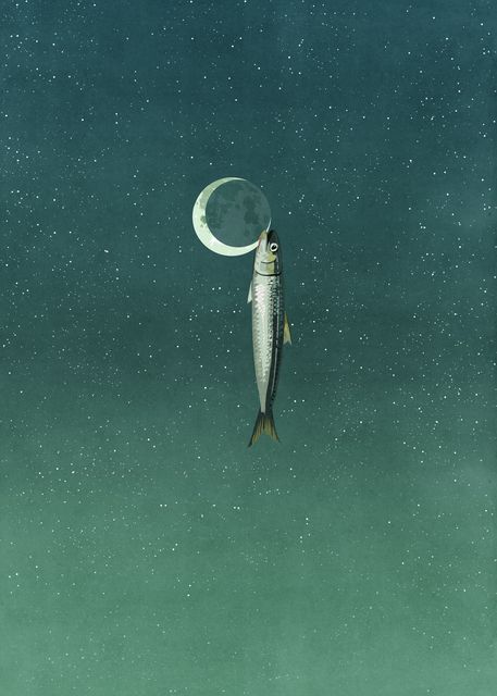 Fish Hooked on the Moon
