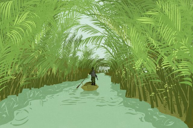 Canoe on a Jungle River
