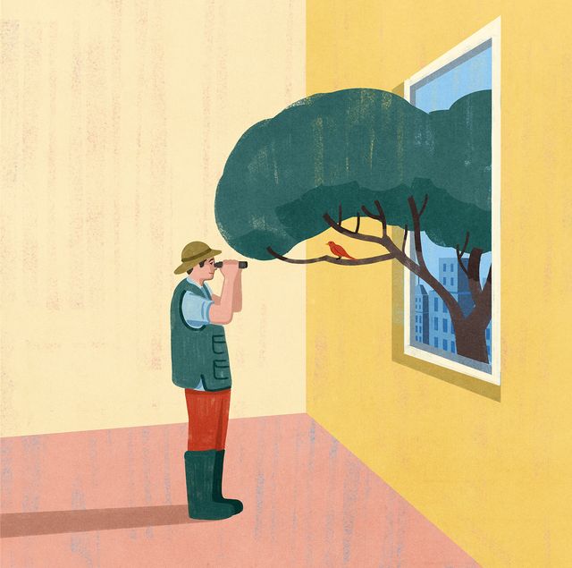 Birdwatcher