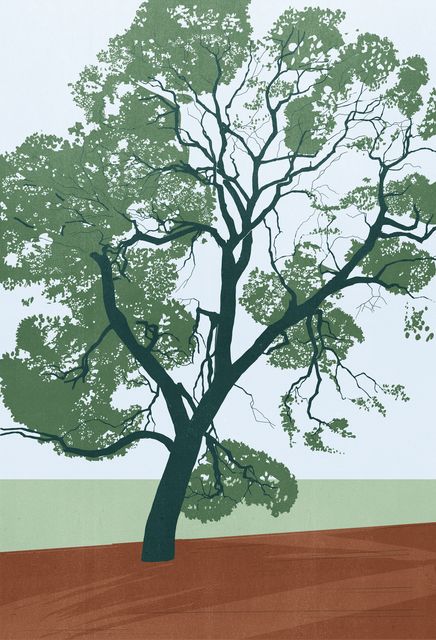 Great Tree