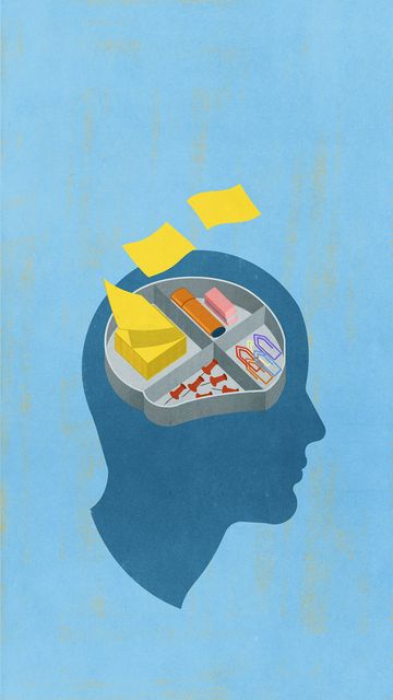 Organised Mind