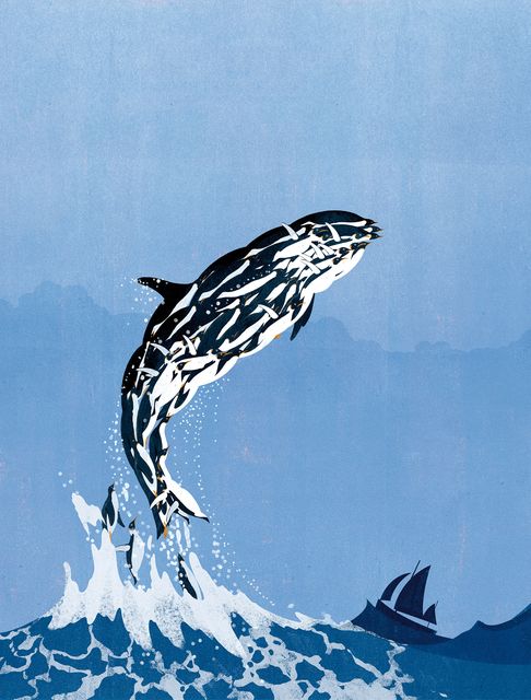 Leaping Whale
