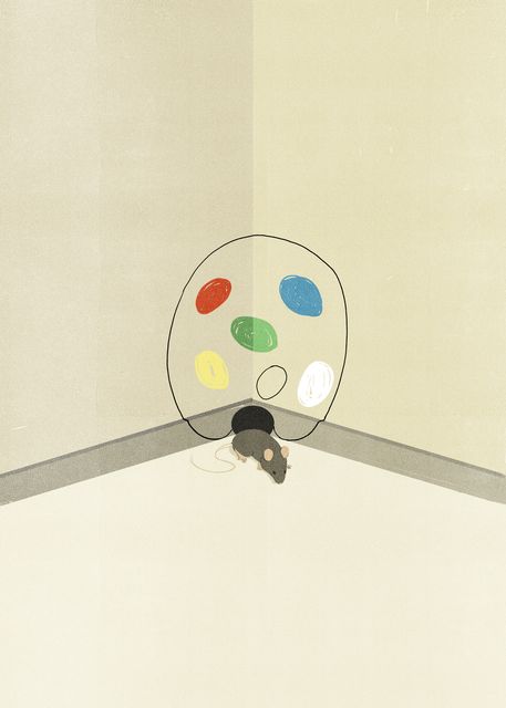 Palette in the Corner