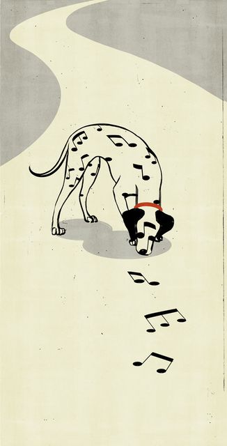 Dalmatian Notes