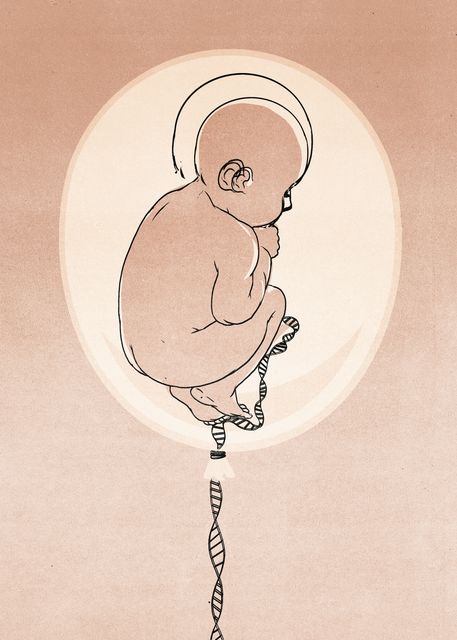 Unborn Child and the DNA Cord
