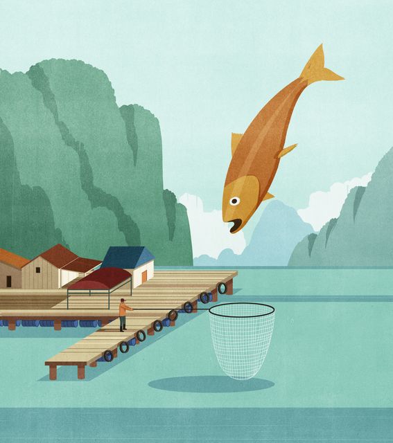 Fish Leaping over the Net