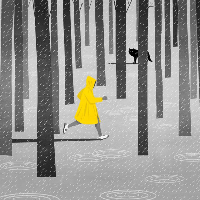 Raincoat in the Forest