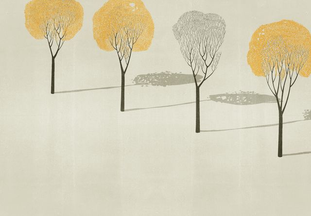 Trees and the Grey Ghost Tree