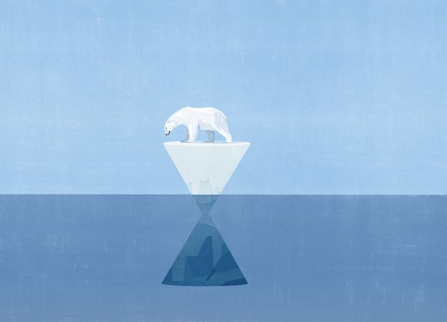 Polar Bear on the Hourglass Iceberg